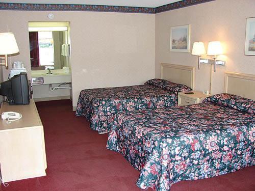 Double Room Two Double Beds