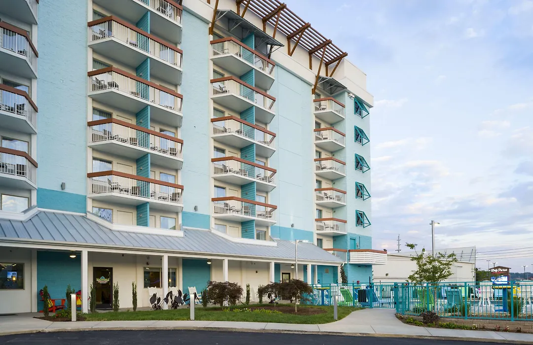 Margaritaville Island Inn-1
